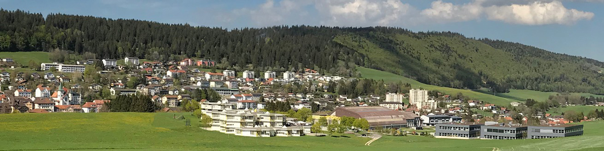 Diapo 8