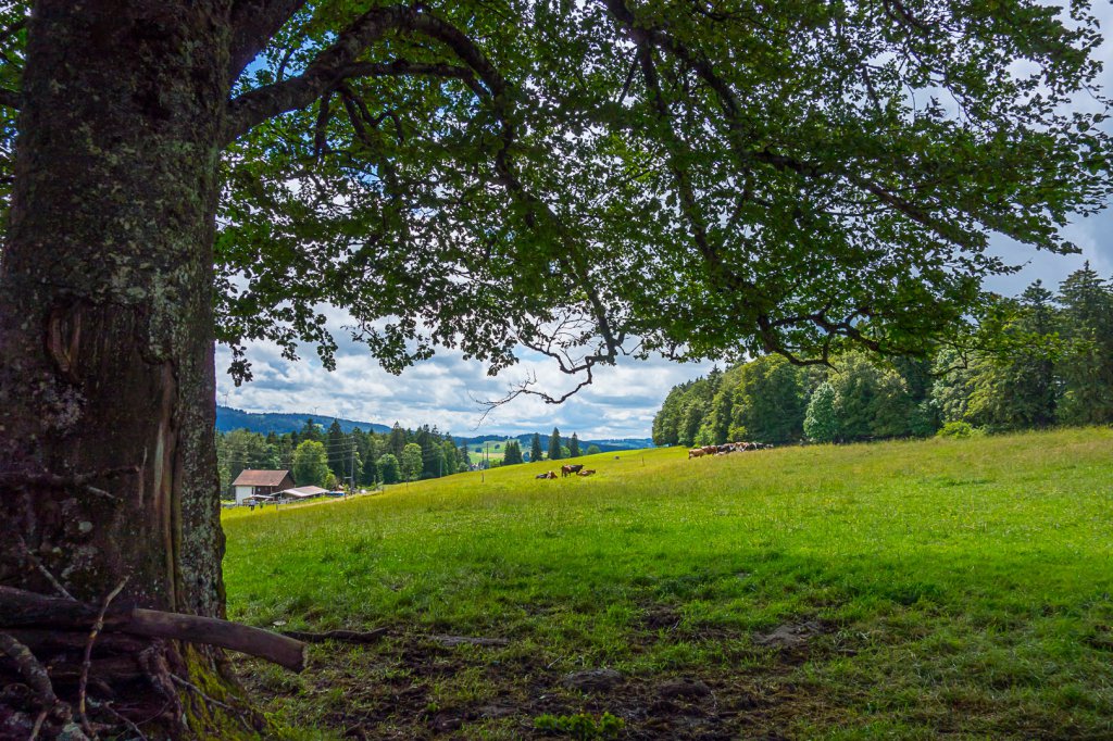 montagnedudroit-2